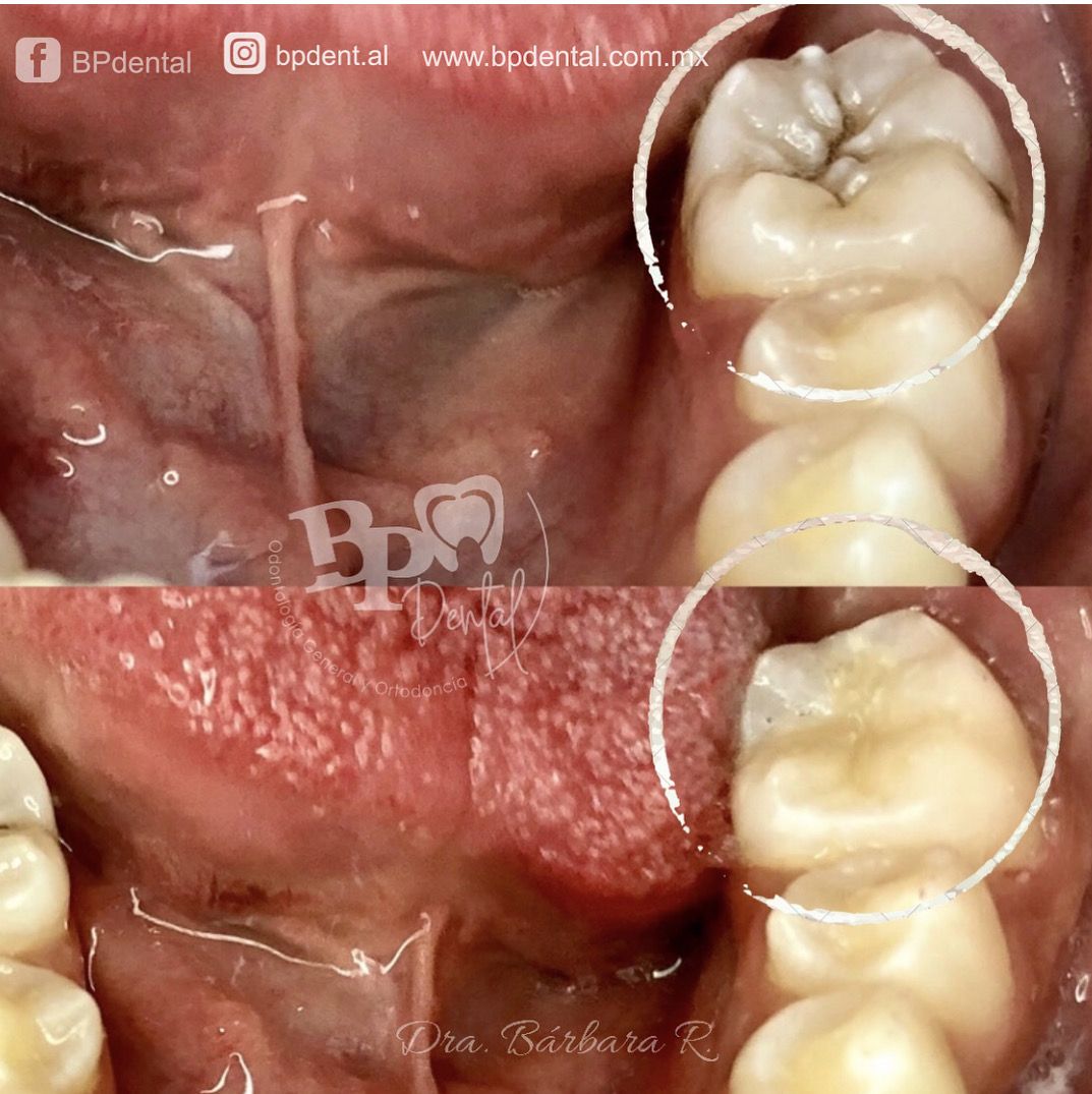 Guadalupe Bárbara Ramírez Díaz-12