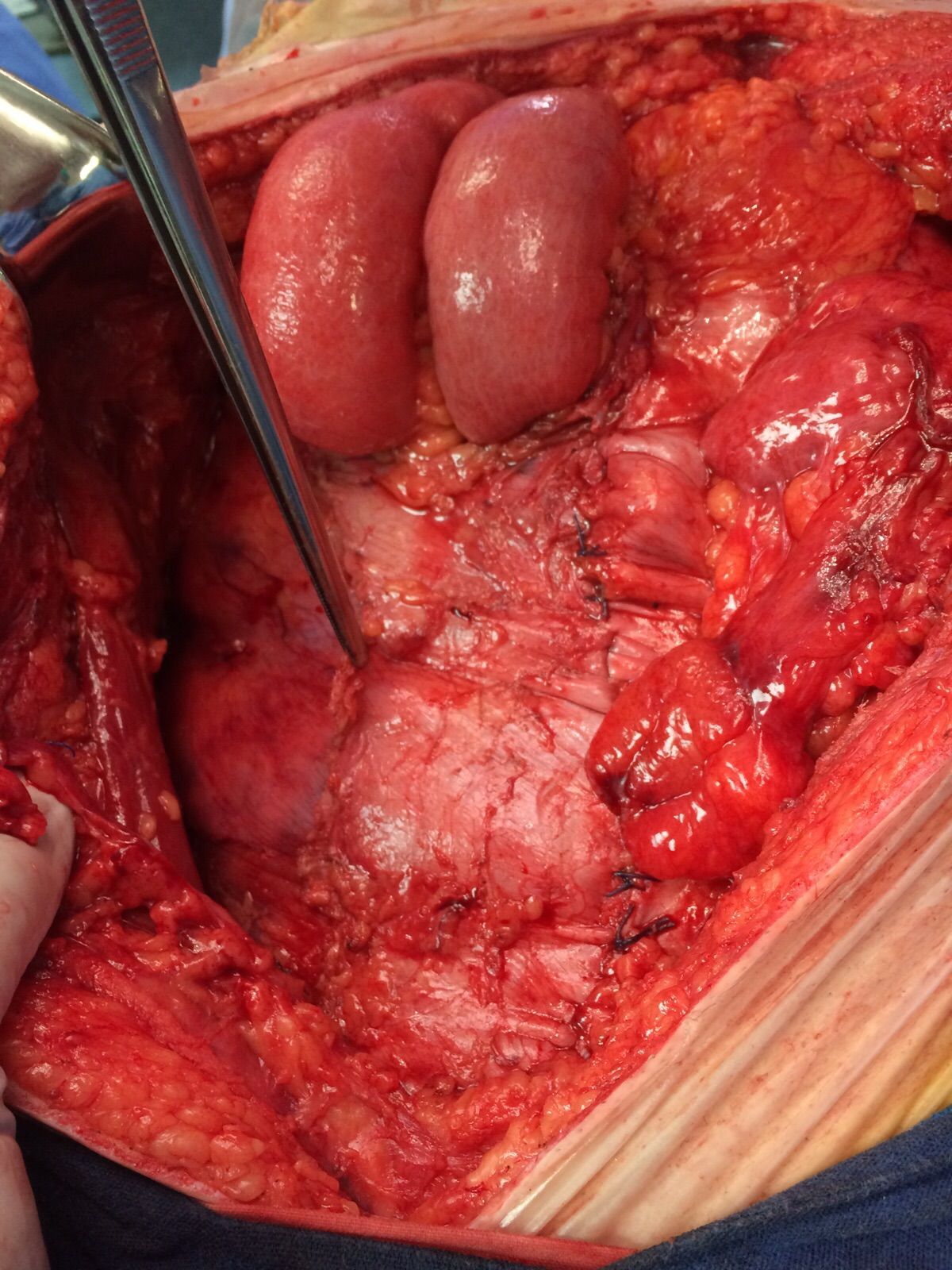 Mateo Ponciano Guerrero-16