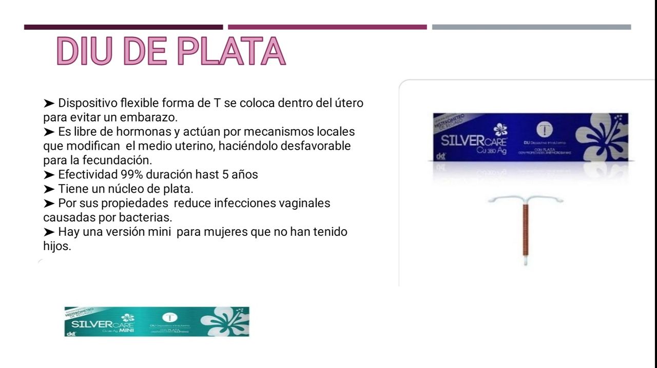 Aremi Castillo Dominguez-5