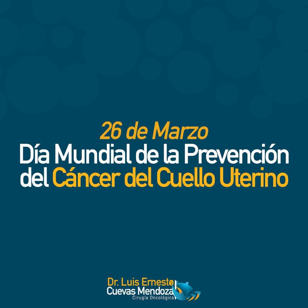 Luis Ernesto Cuevas Mendoza-234