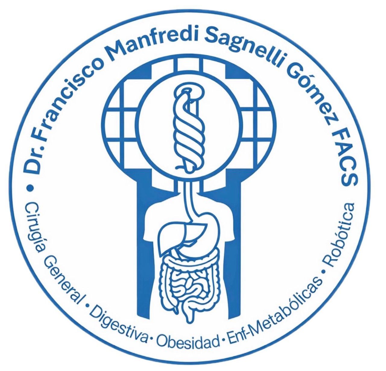 Francisco Manfredi Sagnelli Gómez-0