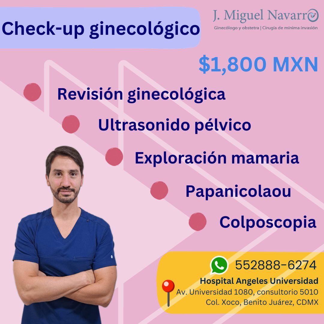 José Miguel Navarro Martín-0