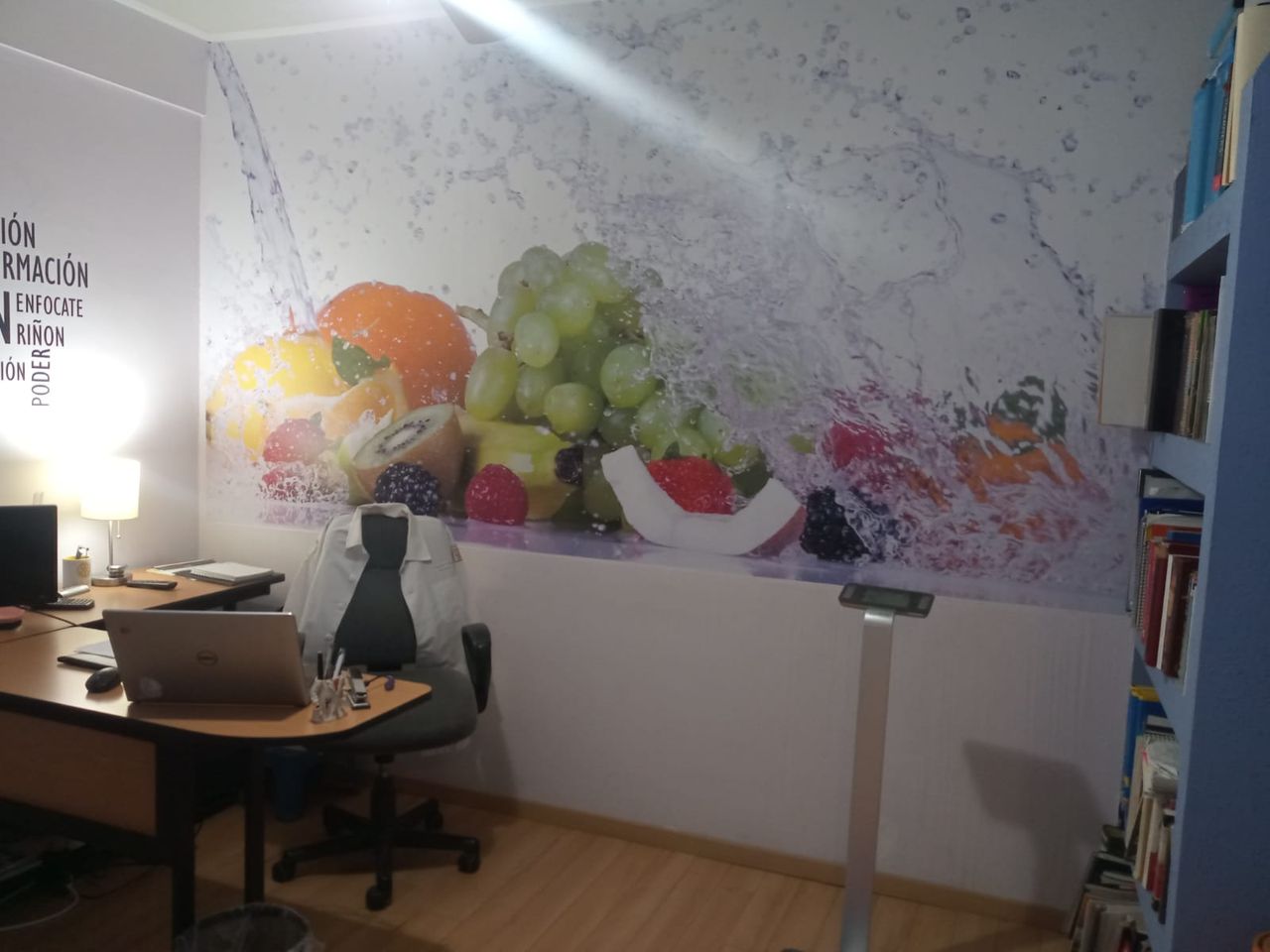 Claudia Collins Díaz-4