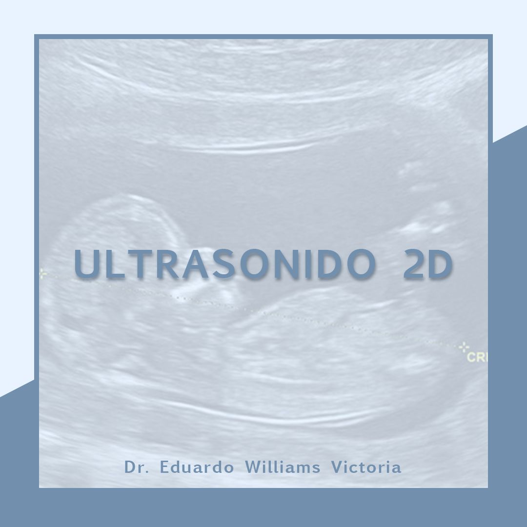 Eduardo Williams Victoria-9