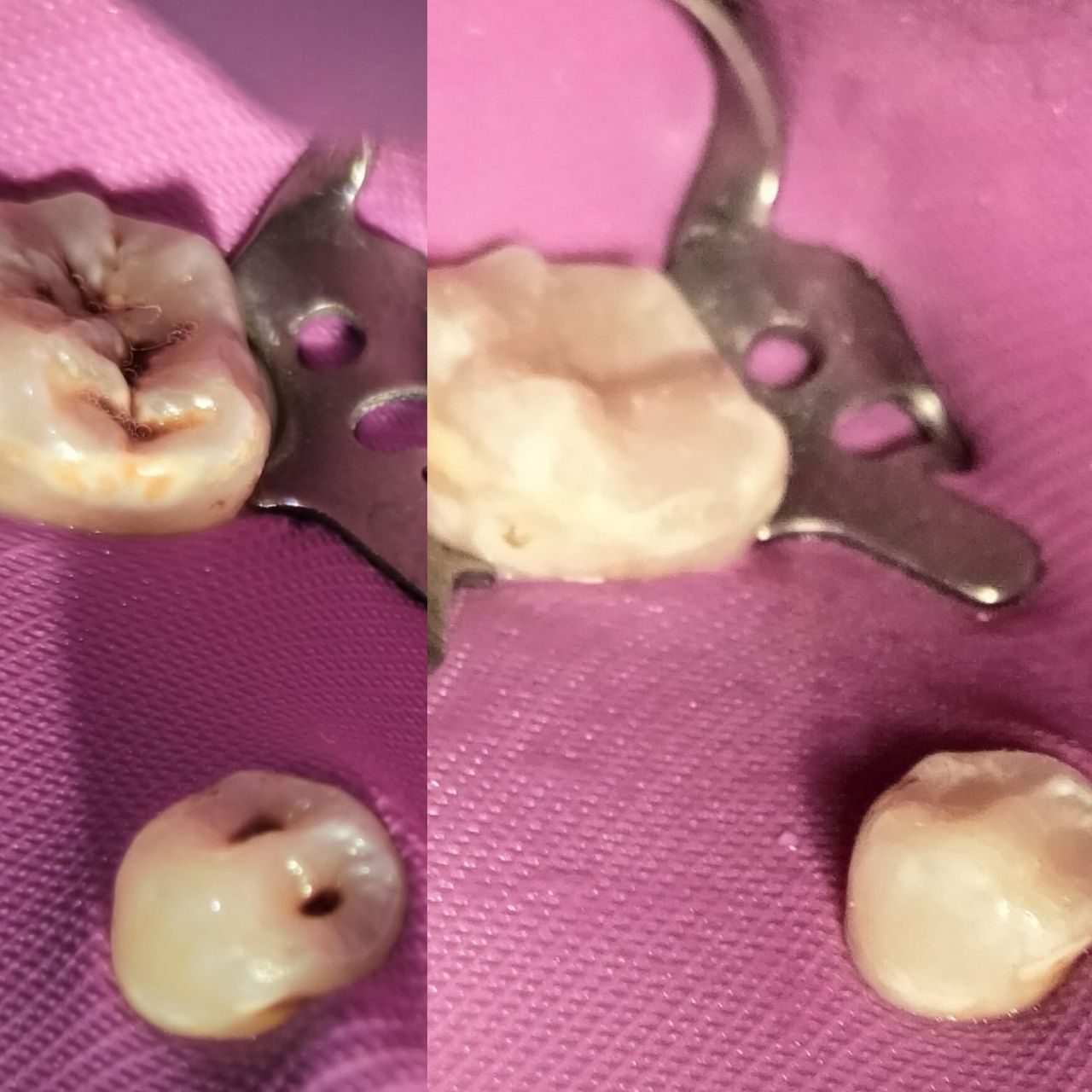 Claudia Alejandra Álvarez Leon-4