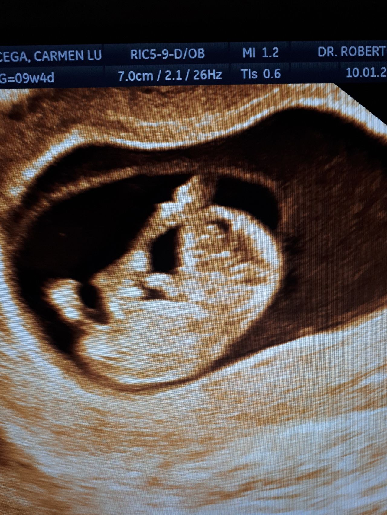 Máximo Roberto López López-5