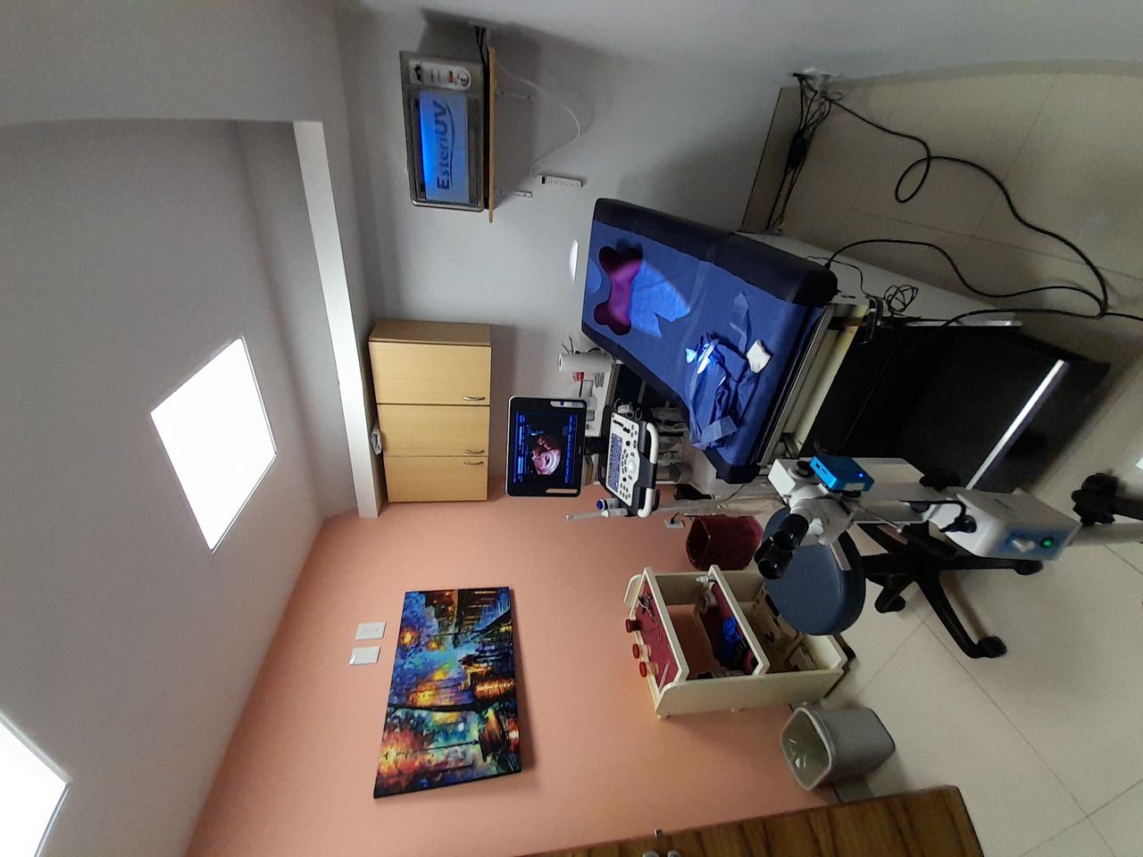 Luis Israel Sarmiento Gamboa-6