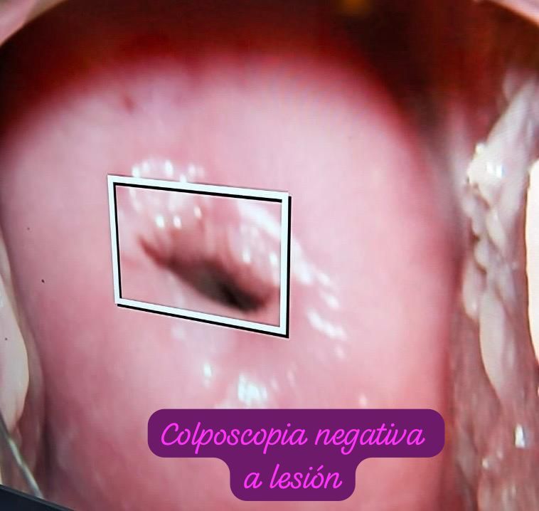 Sandra Faviola Dávila Molina-52