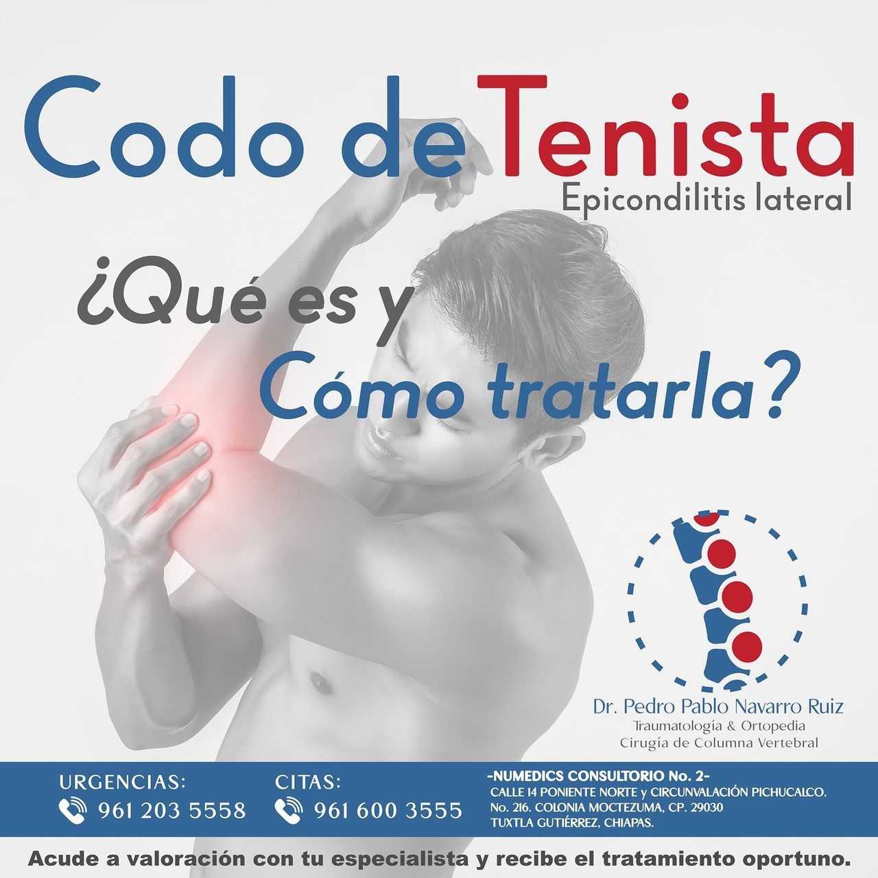 Pedro Pablo Navarro Ruiz-12