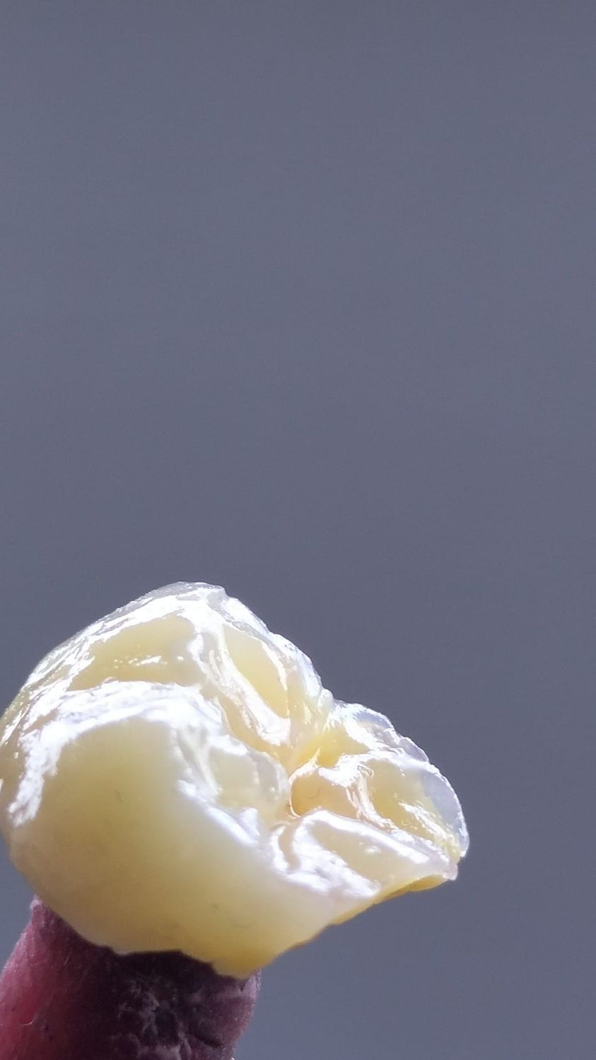 Raúl Méndez Cifuentes-21