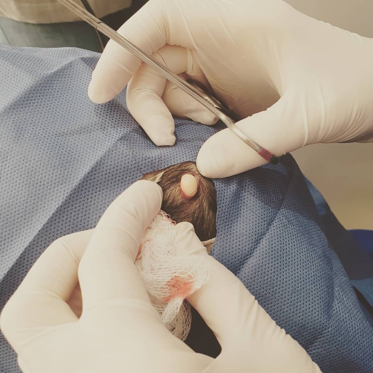 Alejandra Maria Corona Sandoval-46