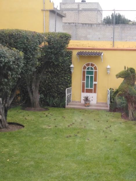 María Del Pilar Cano Bustamante-7