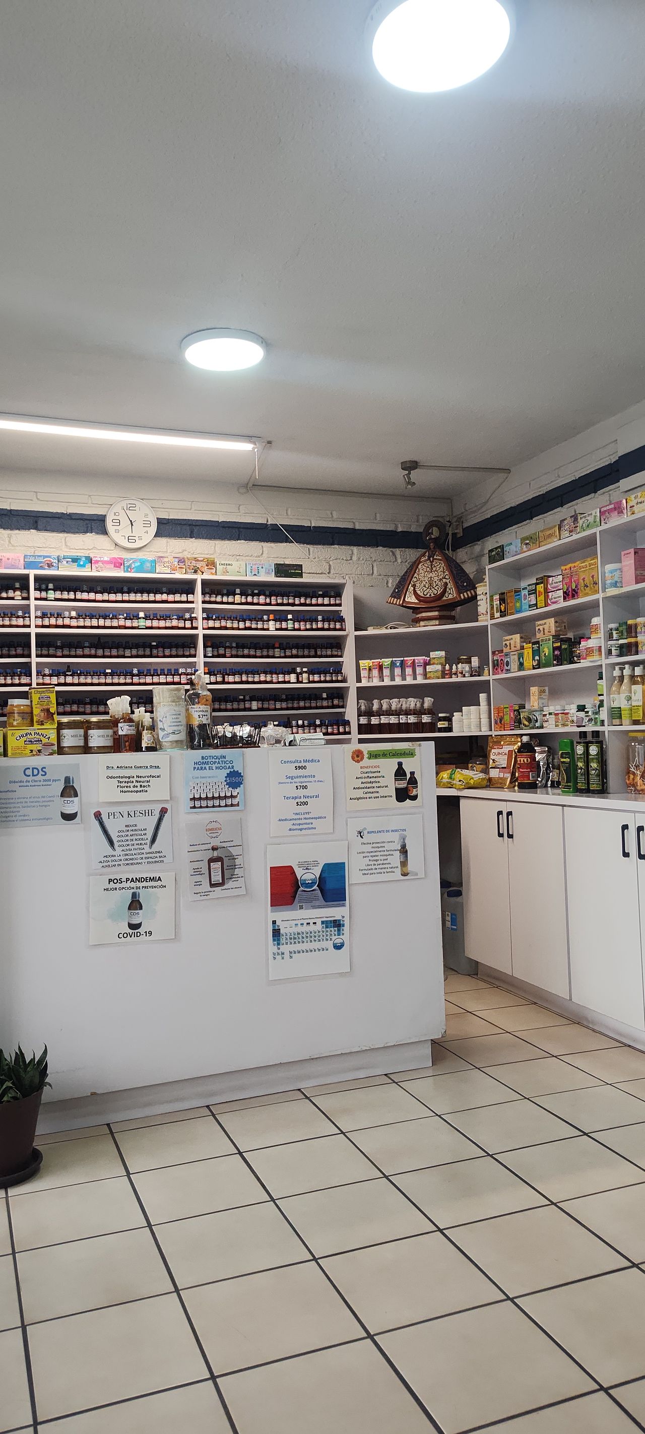 José Ramón Menchaca Castillo-5