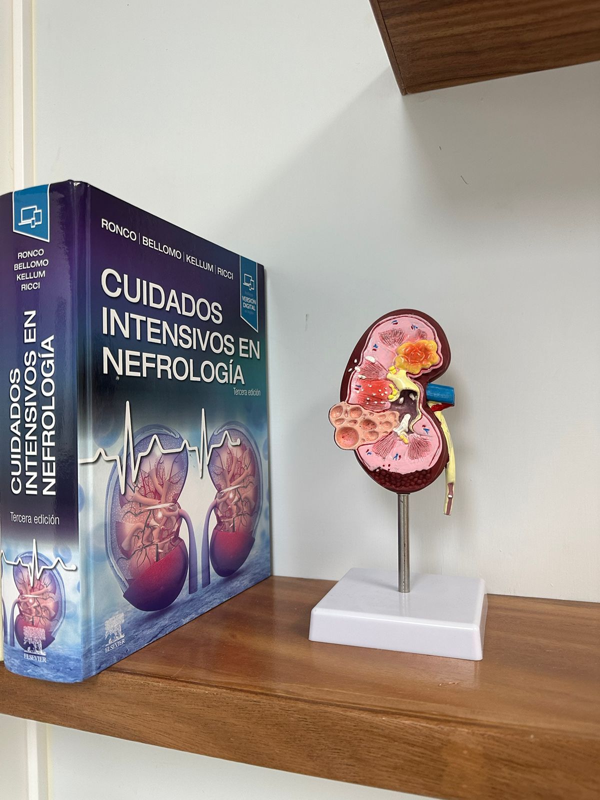 Liliana Mondragón Antillón-9