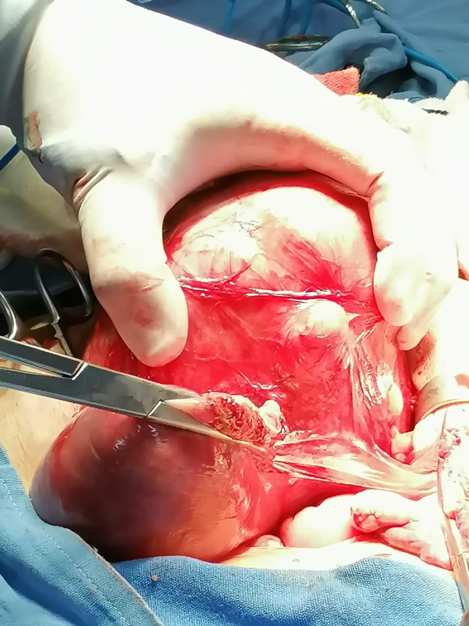 Rodolfo López Sánchez-8