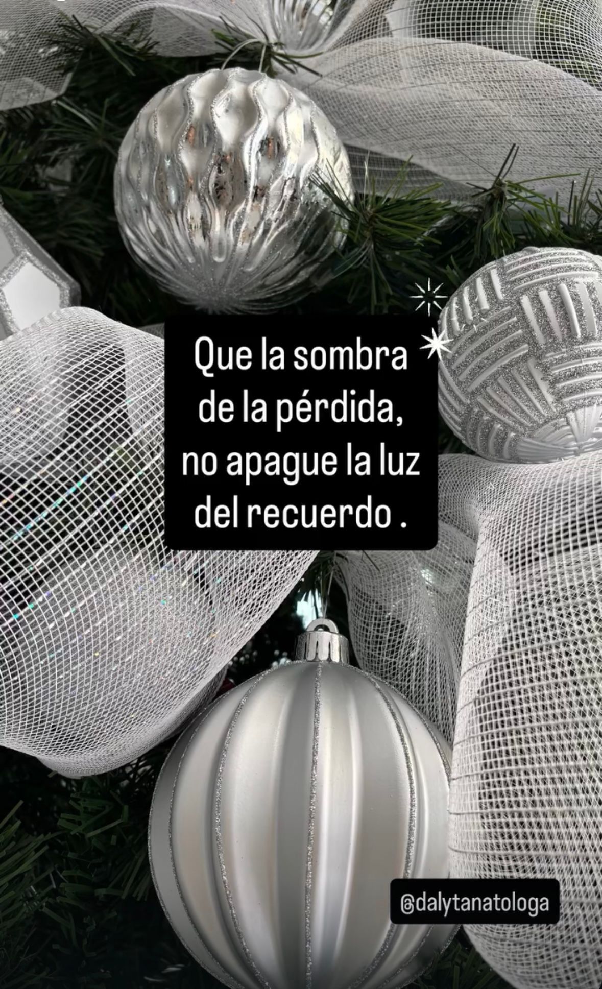 Dalia Angélica Villarreal Rodríguez-18