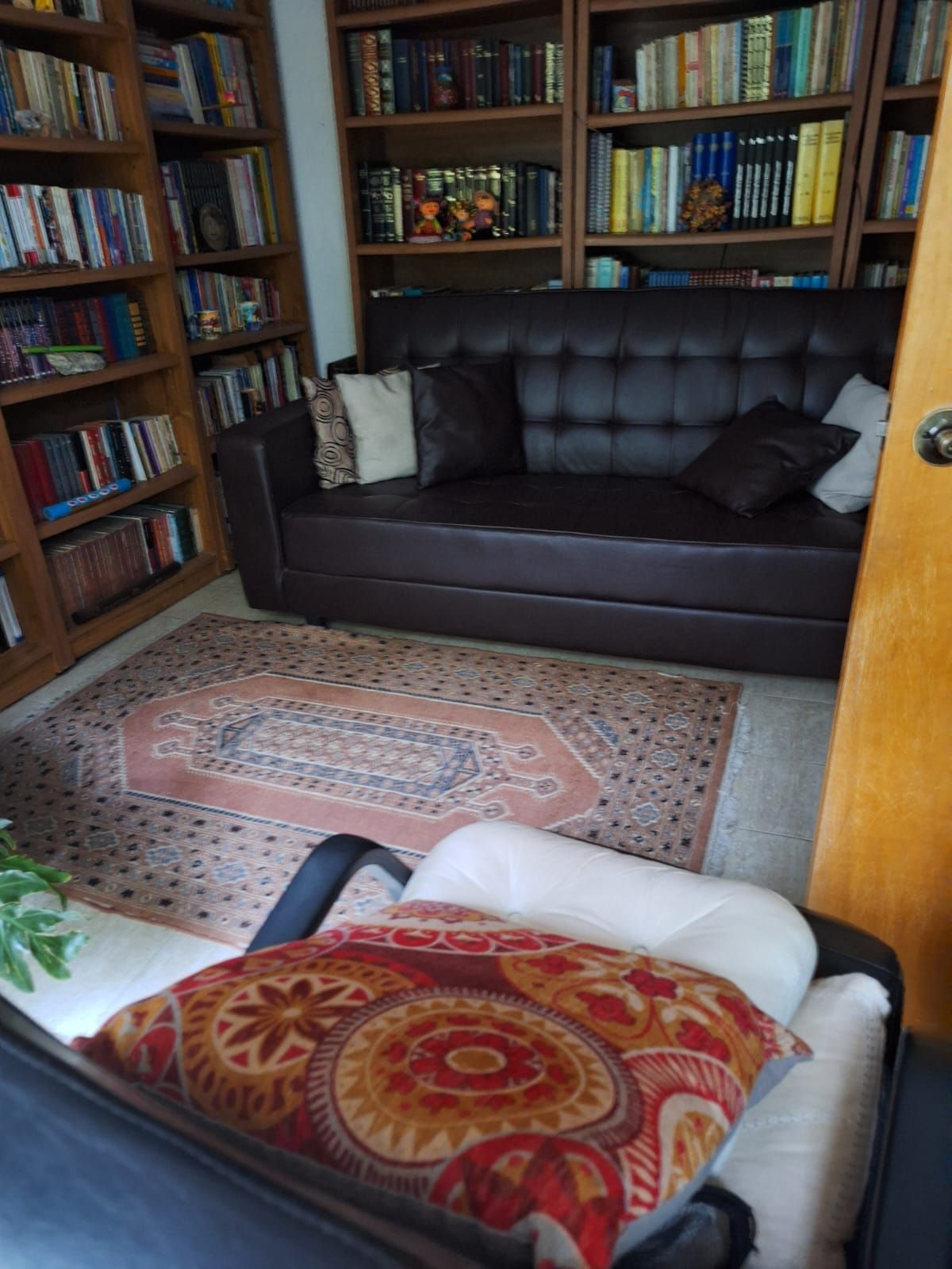 Luciano Berumen Martínez-2