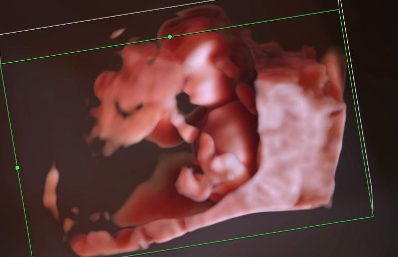 María José Guerrero Cervantes-5