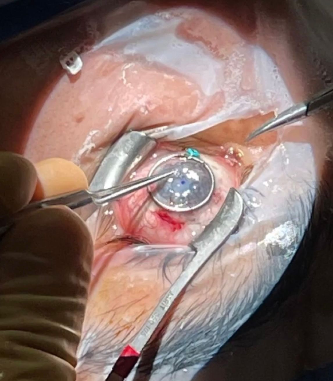 Kristian Alfonso Vazquez Romo-2