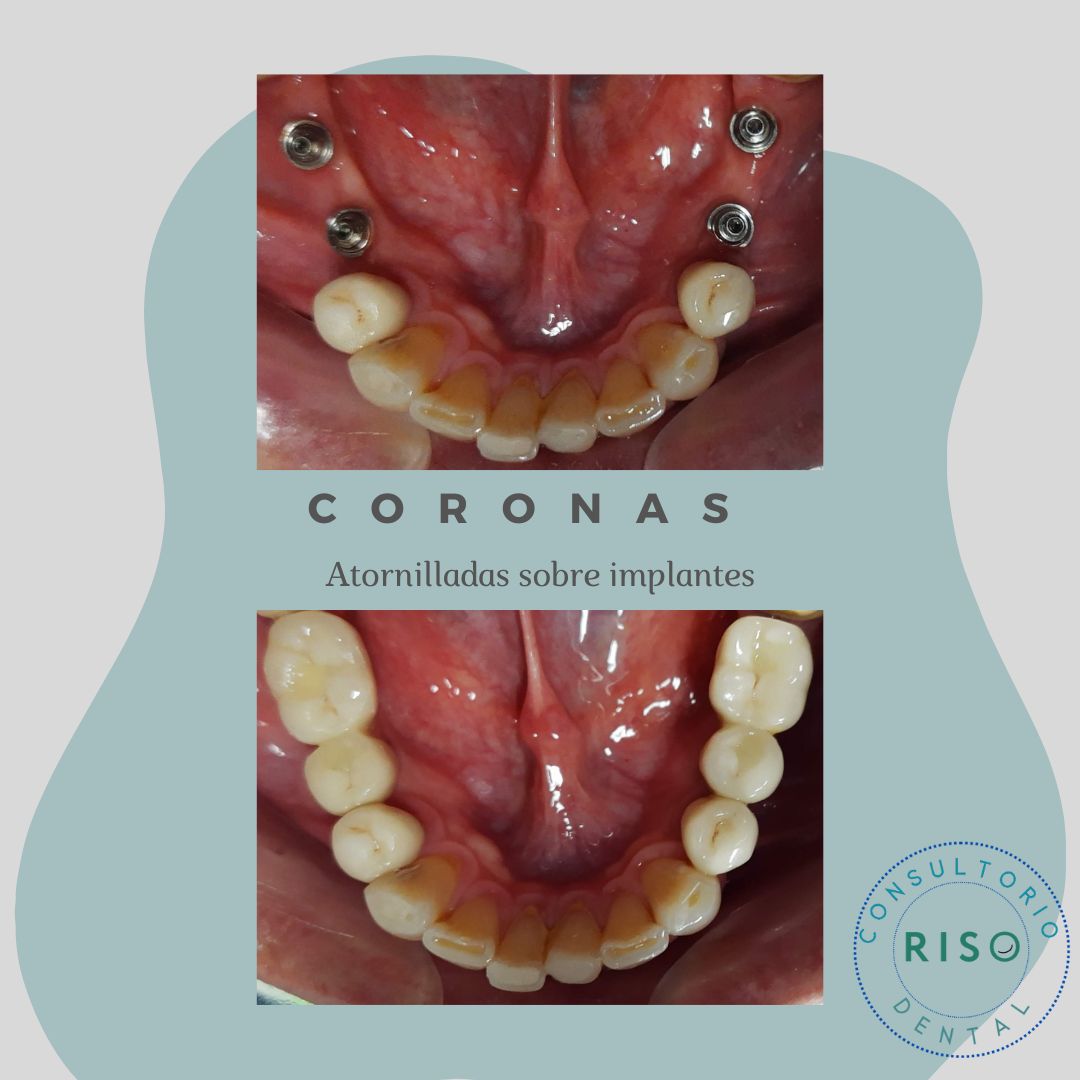 Cinthya García Sámano-22