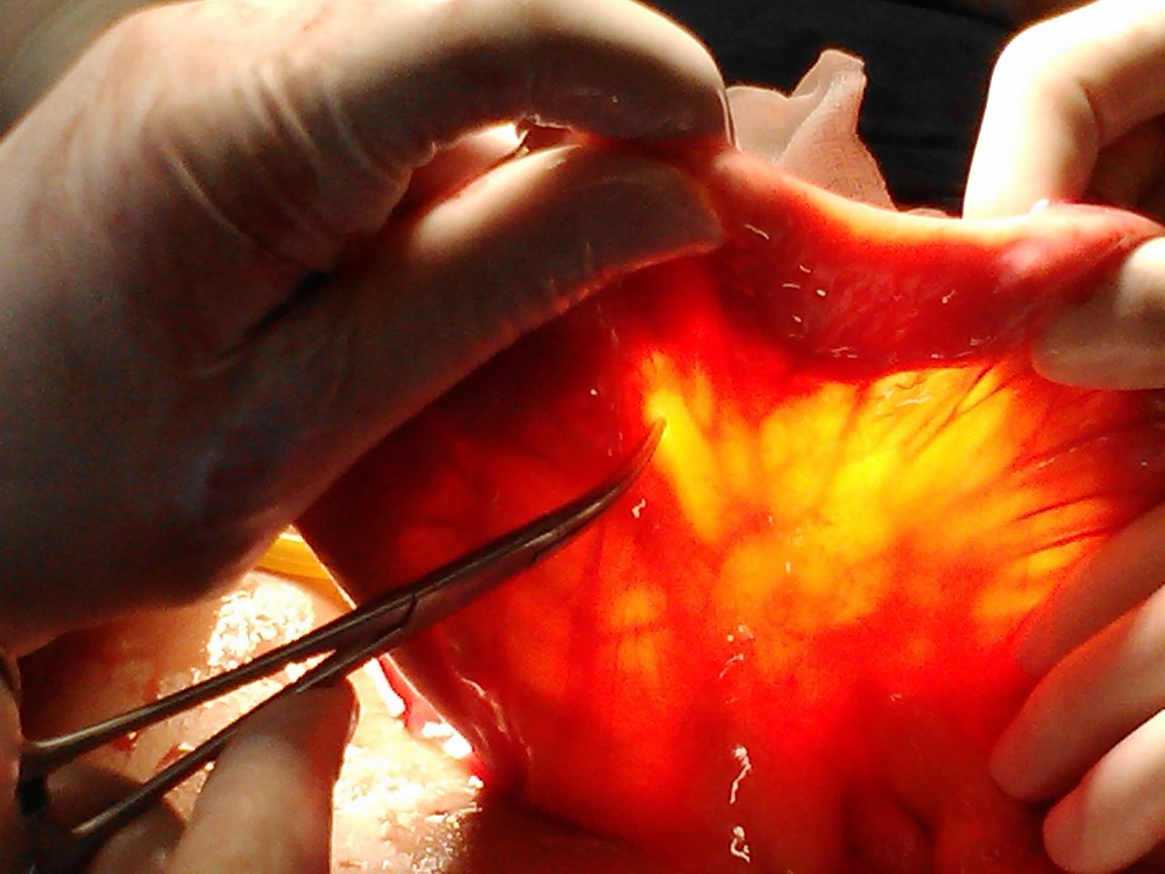 Mateo Ponciano Guerrero-35