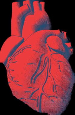 Mario Alberto Mora Sagrero-6