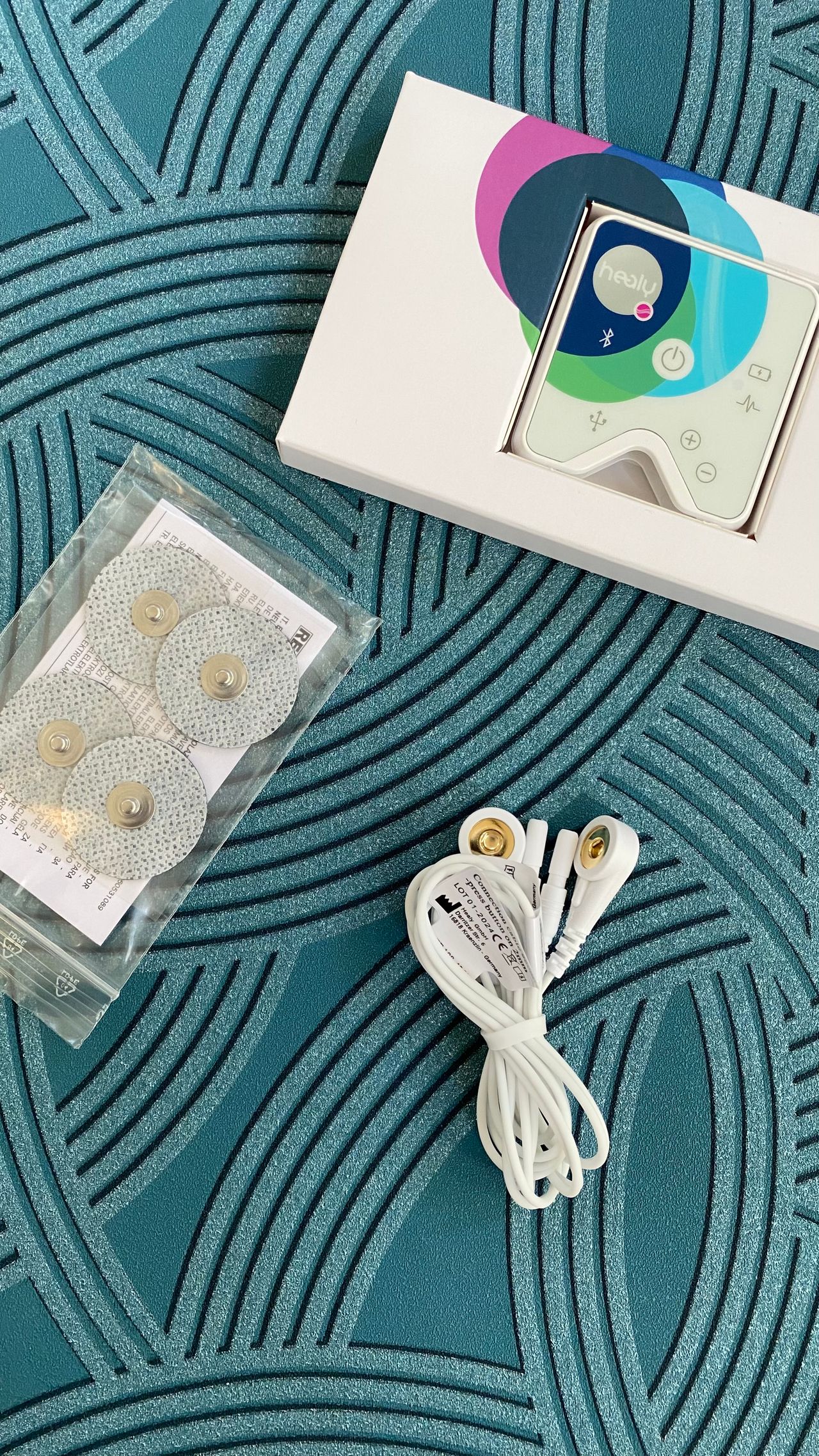 Bárbara Cárdenas-1