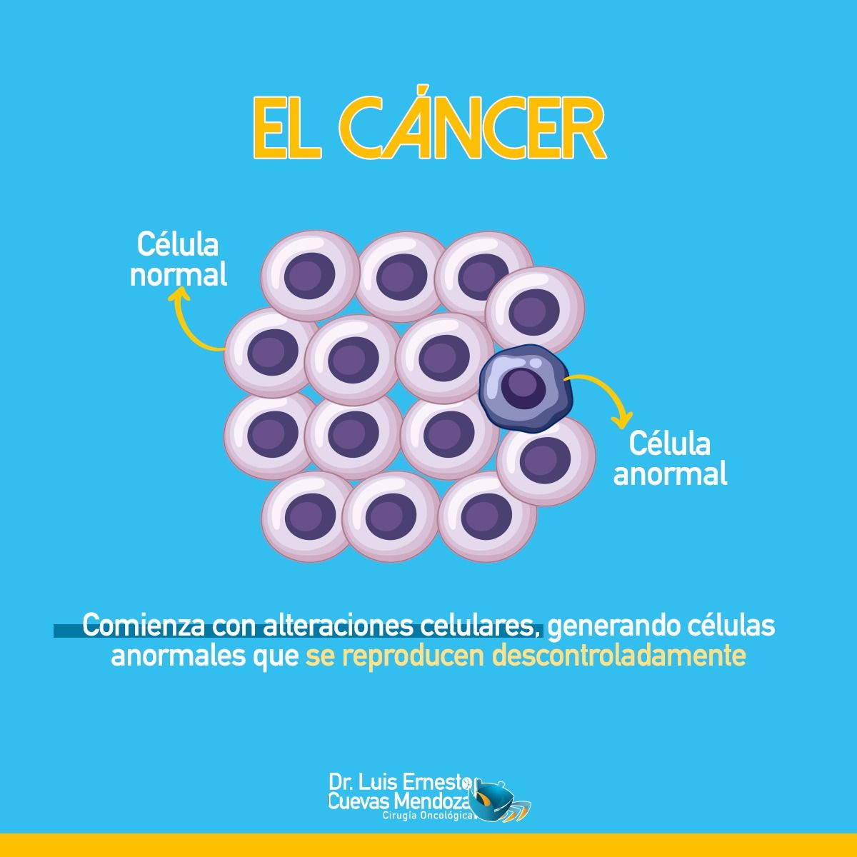 Luis Ernesto Cuevas Mendoza-314