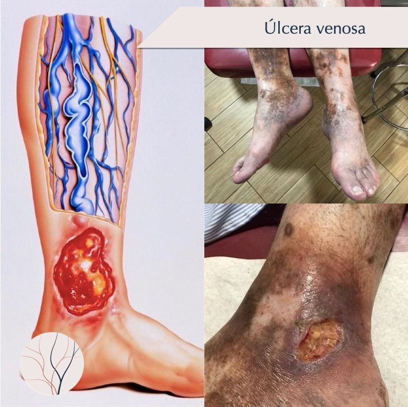 Erika Berenice Ramírez Pérez-6