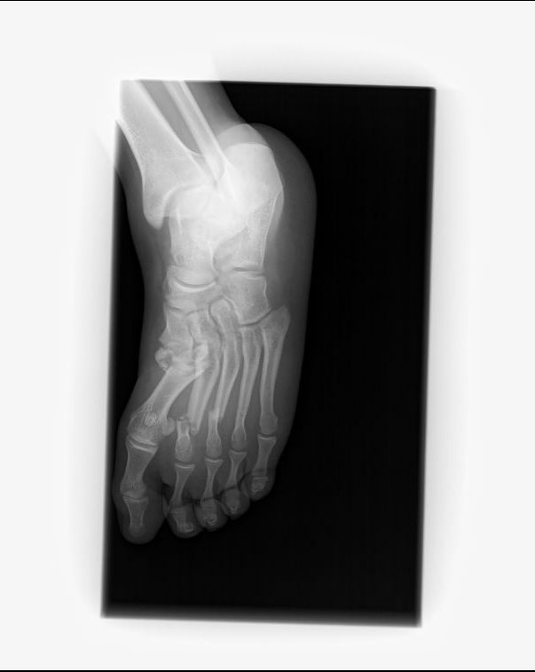 Salvador Medina Garnica-6