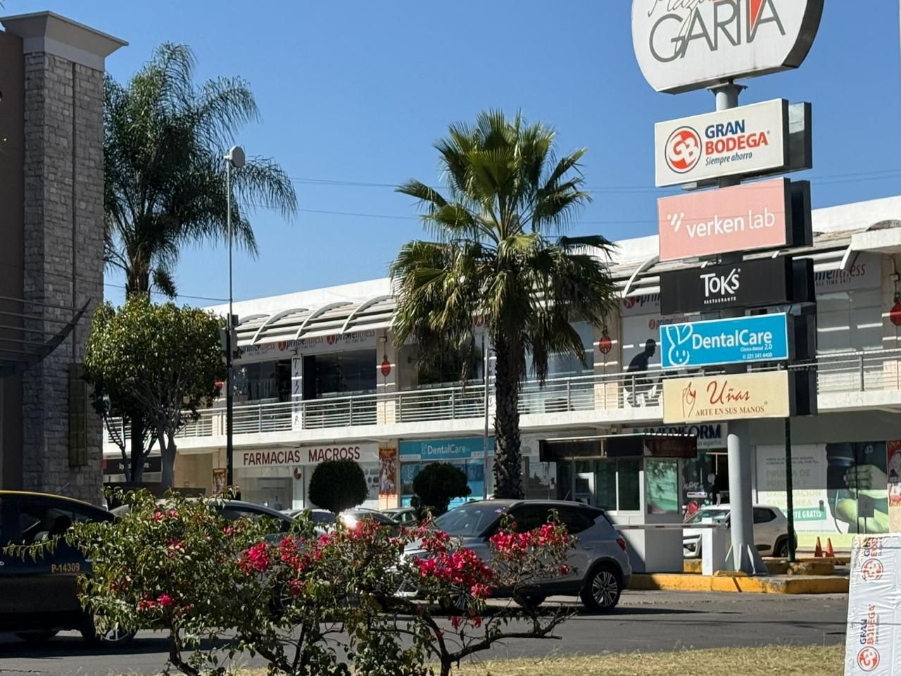 Rosa Cortes Morales-2