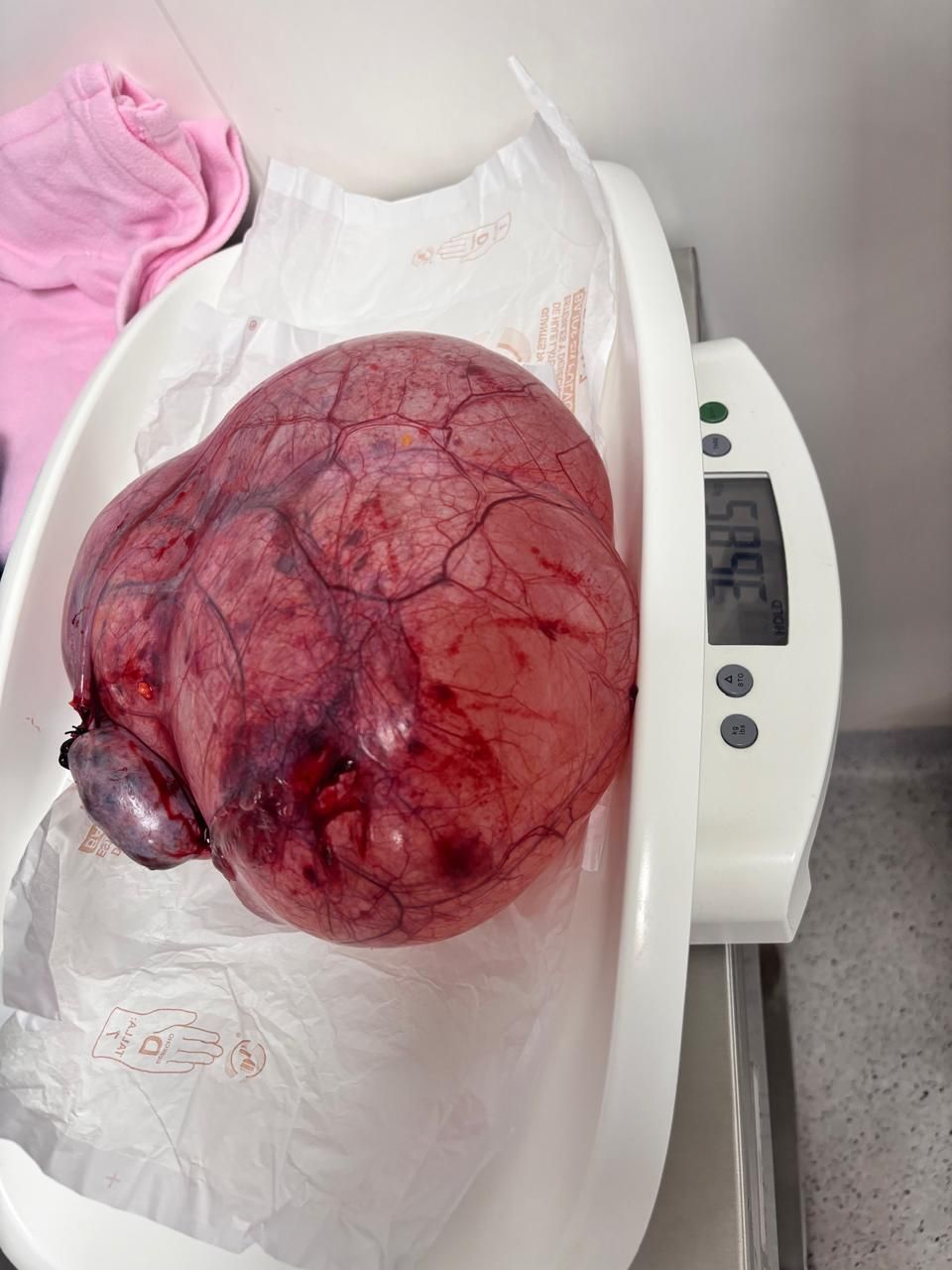 Abel Enríquez Vázquez-4