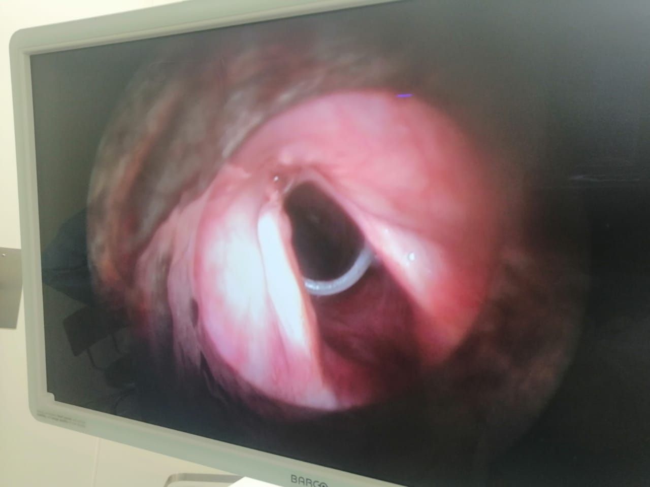 Alejandro Marin Castañeda Baron-6