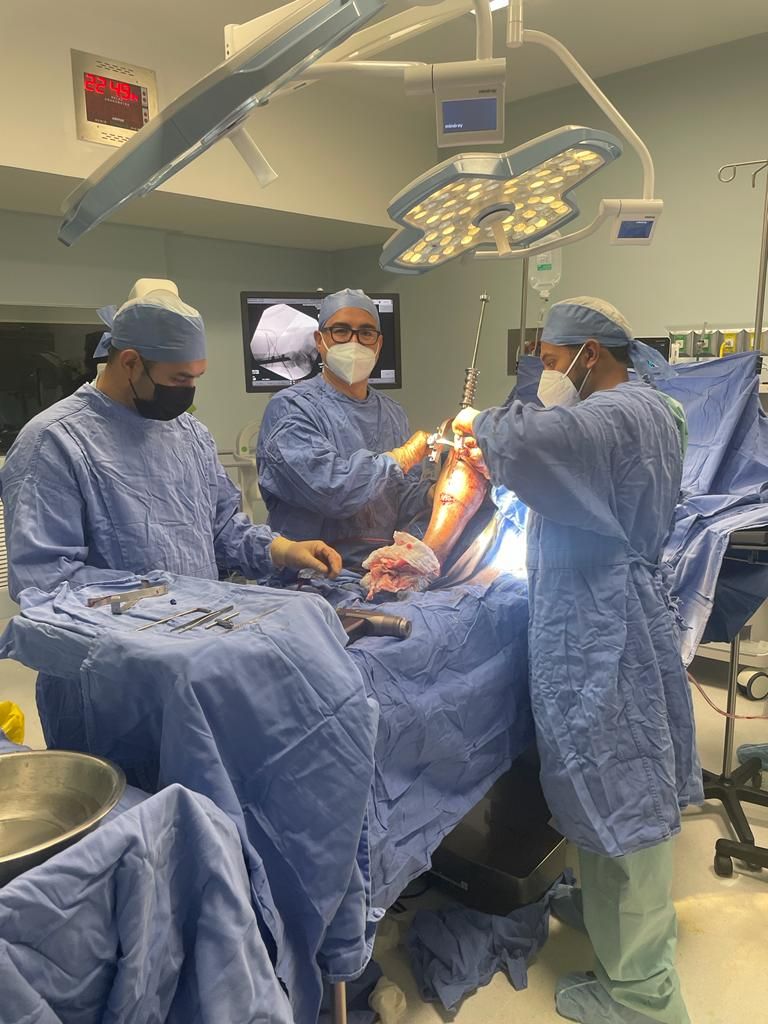 Felix Alfaro Arias-27