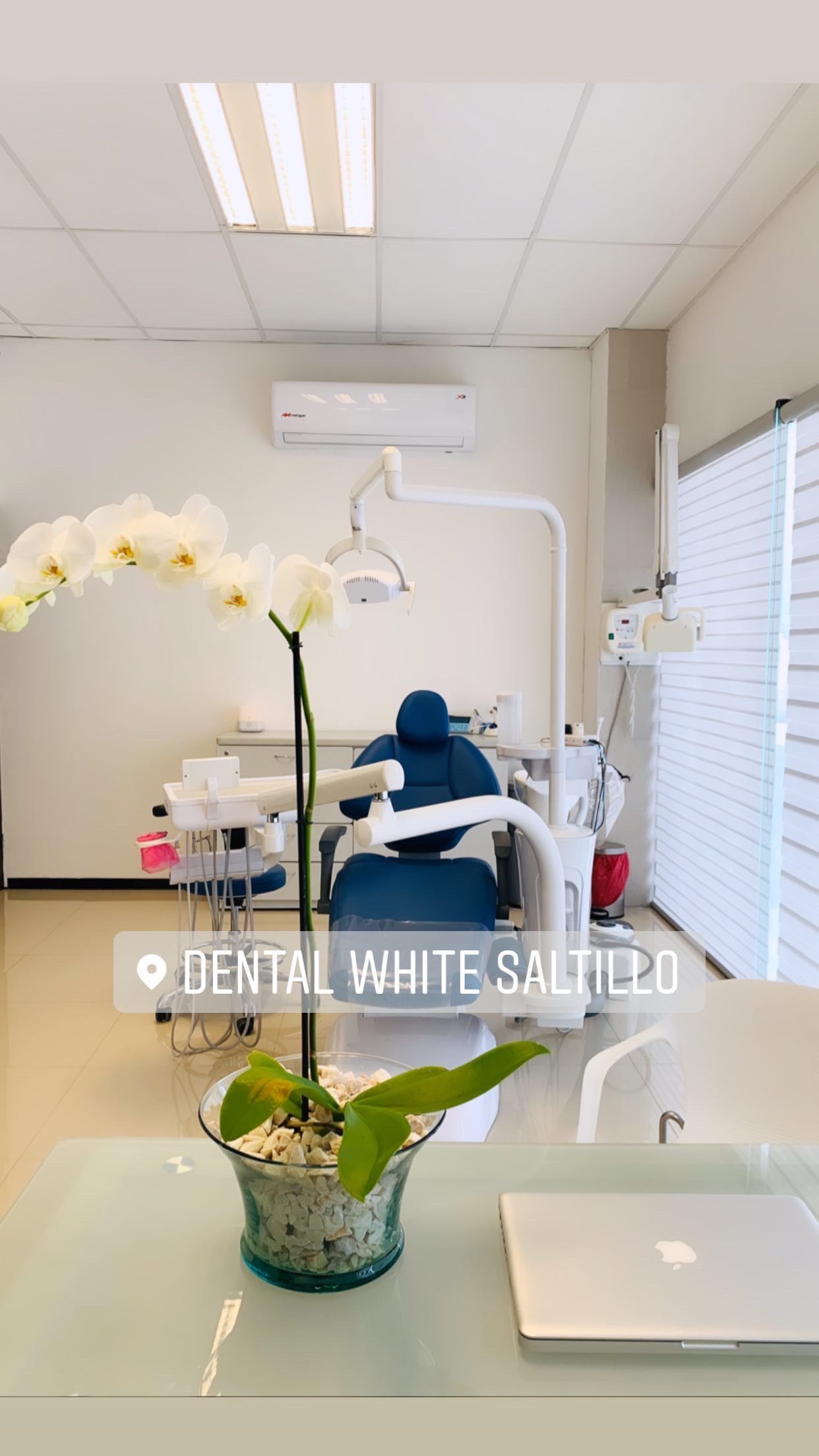 Daniela Martínez García-14