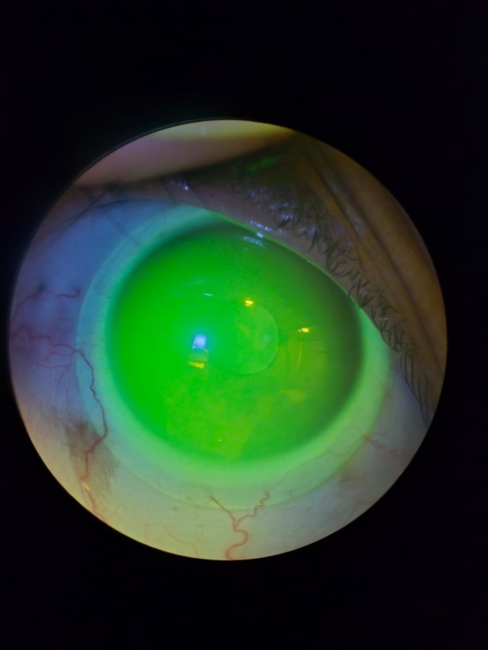 Omar Flores Cárdenas-18