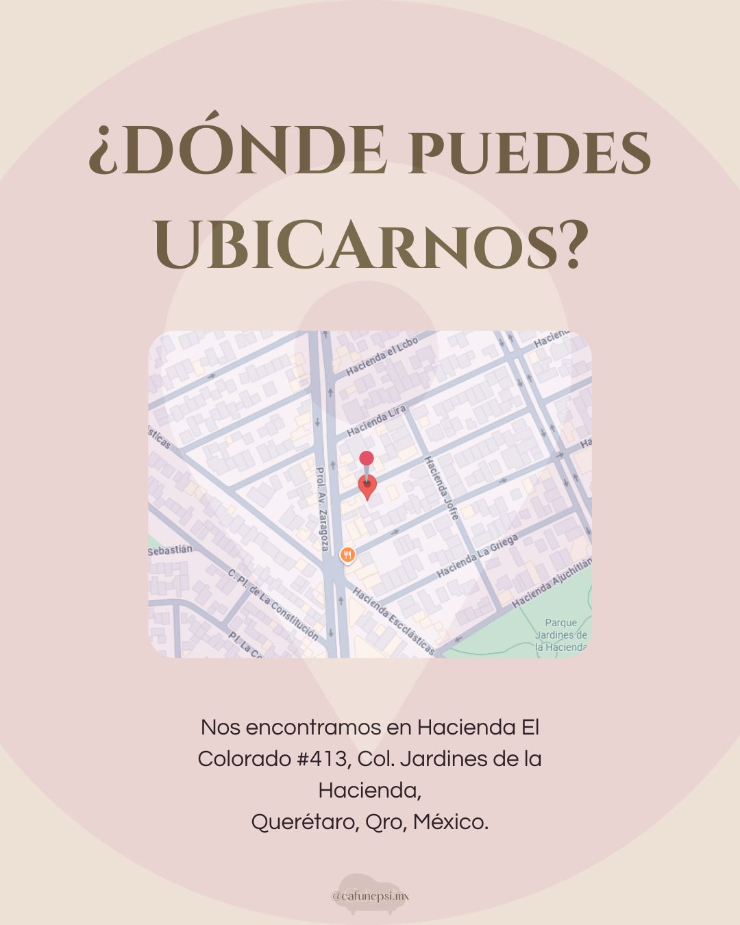 Ximena Espinosa Gallardo-6