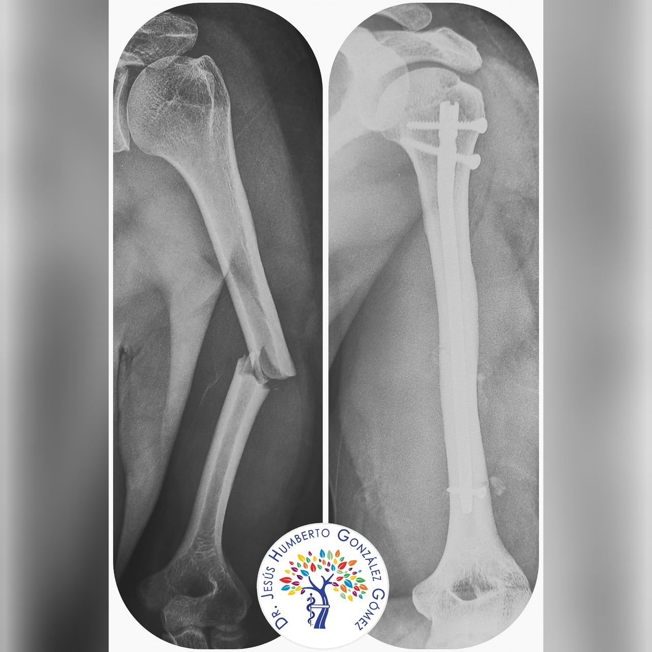 Jesús Humberto González Gómez-2