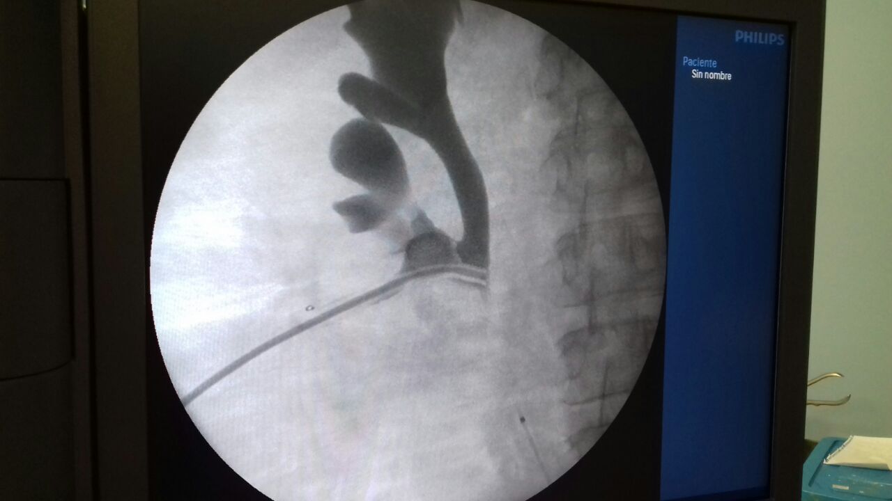 Ángel Armando Gutiérrez Jiménez-11