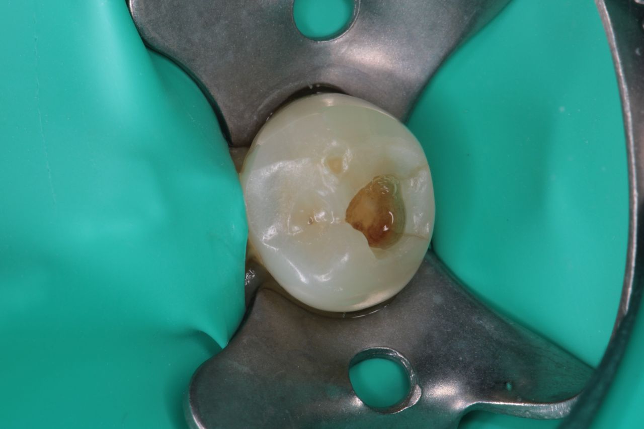 David Alan Escamilla Álvarez-10