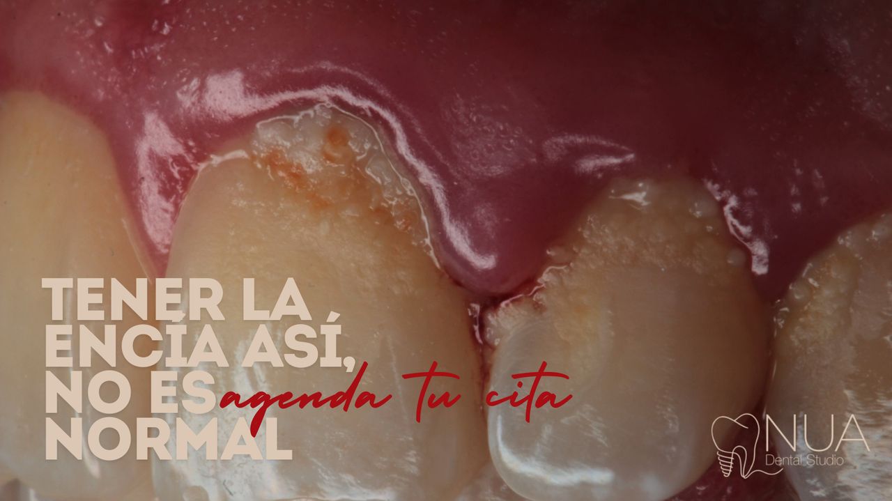 Monica Gabriela Magaña Pérez-1