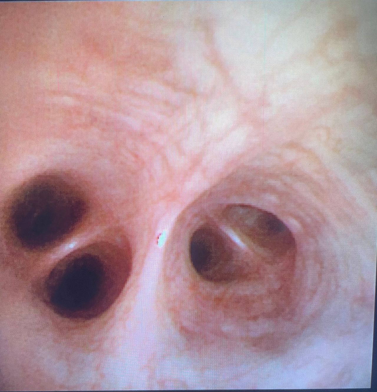 Carlos Gómez Guzmán-0