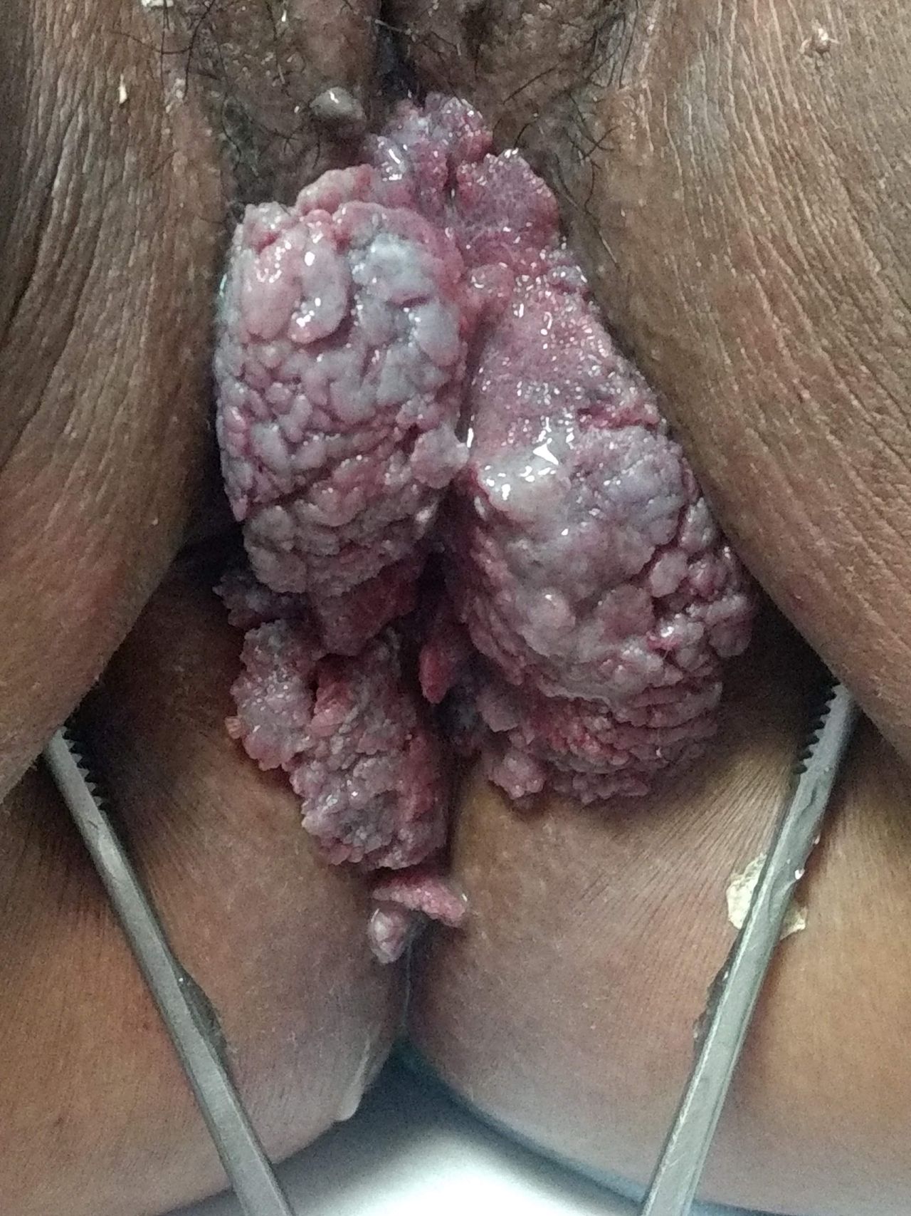 Auria Viridiana Avendaño Perez-3