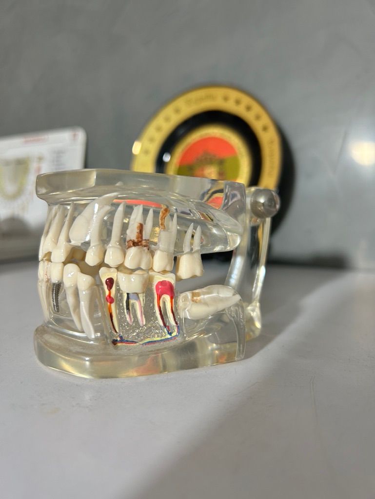 Nancy Anel Duran Alanis-6