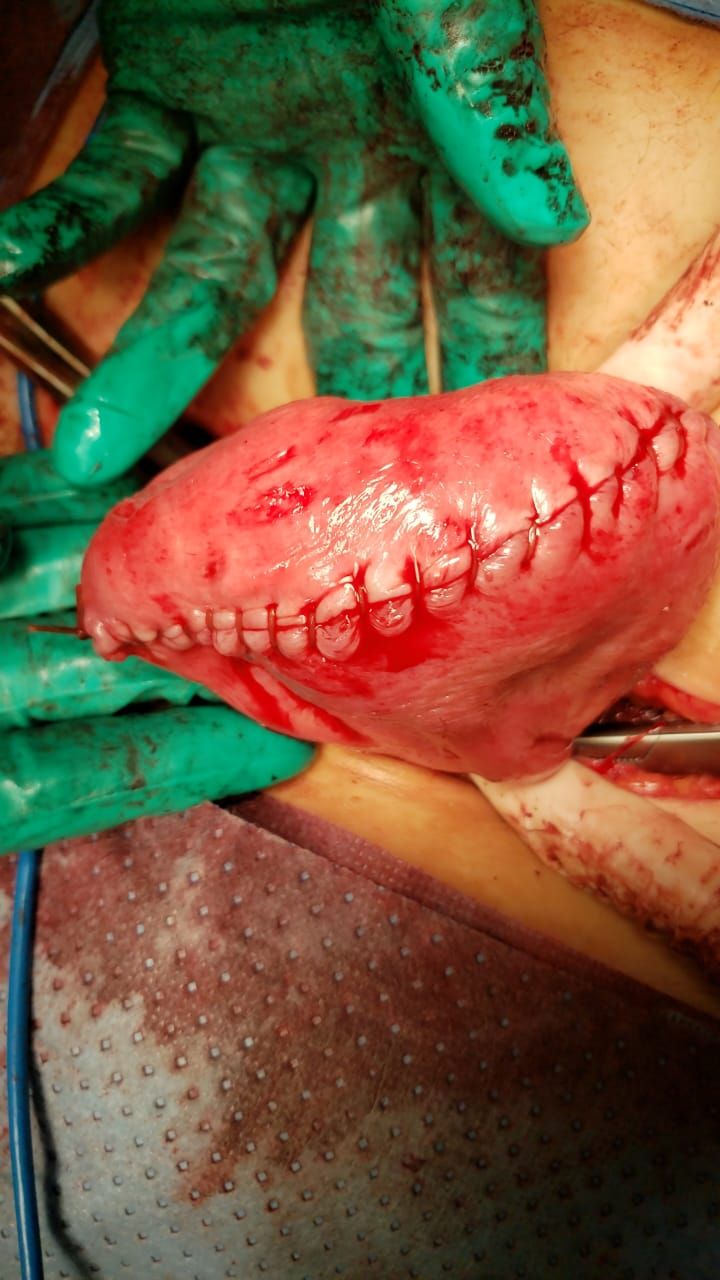 Nayeli Martínez Jaime-6