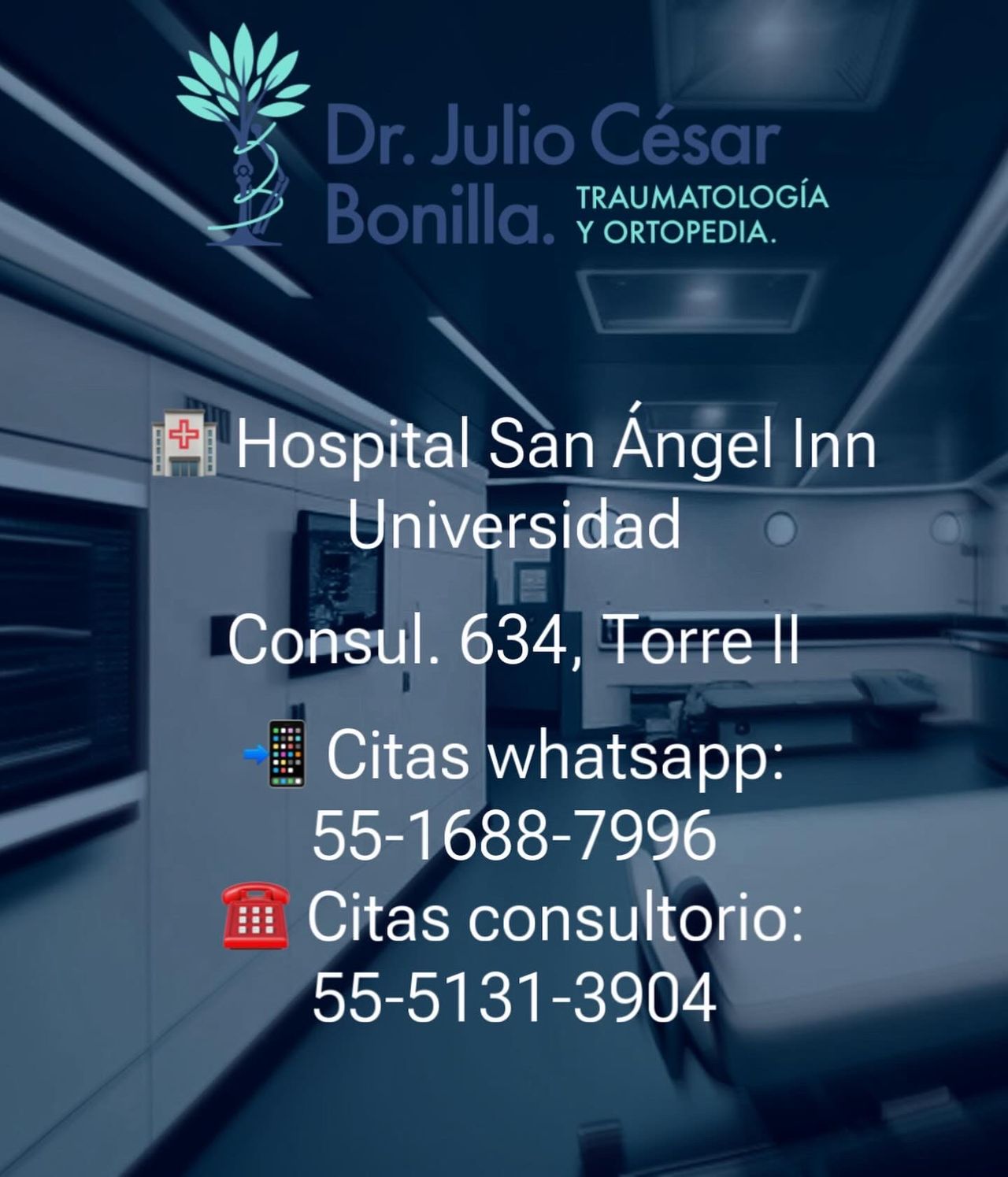 Julio César Bonilla Rodríguez-18