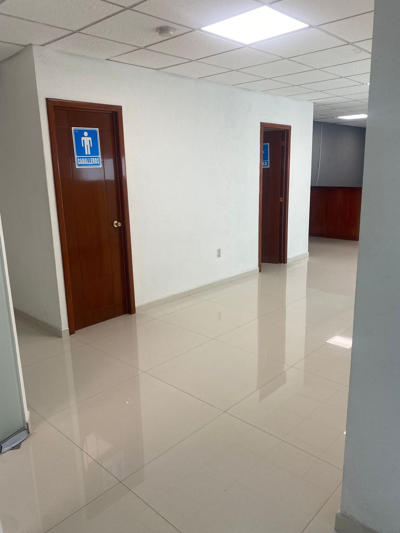 Beatriz Abril Padilla Gandara-2