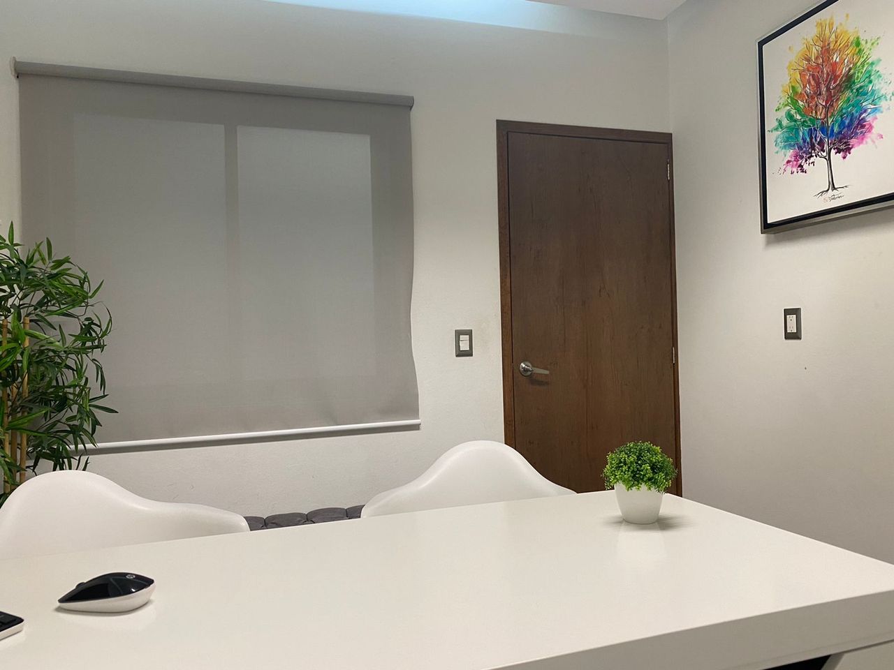 María Concepción Oseguera Vizcaíno-6