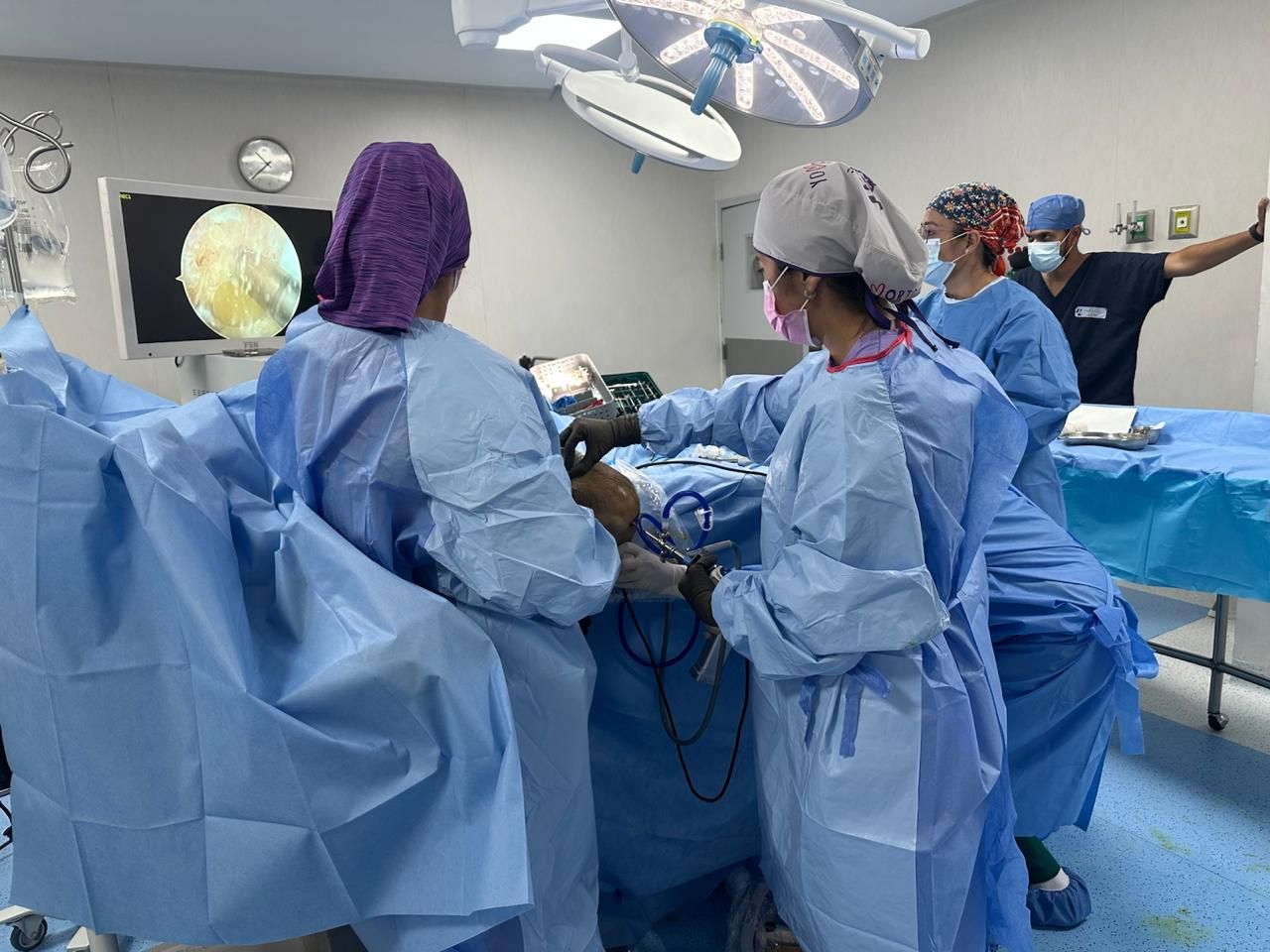 María Fernanda López Medina-1