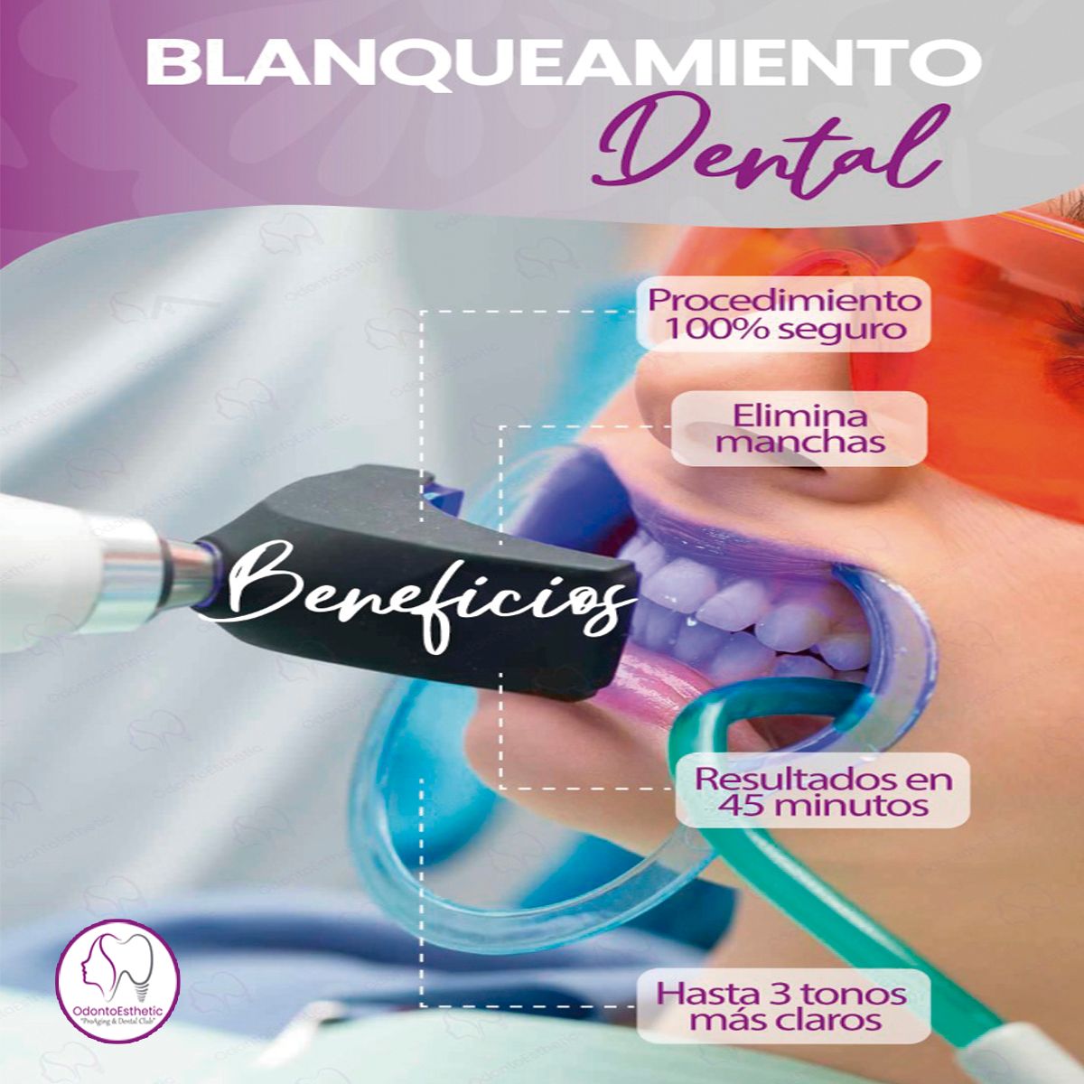 Maria Alejandra Arismendi Martinez-19